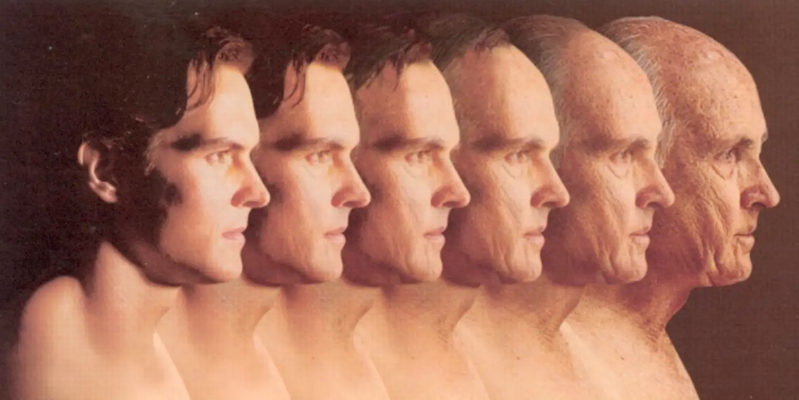The aging process of humans